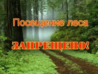 Актуальная інфармацыя аб забароне на наведванне лясоў