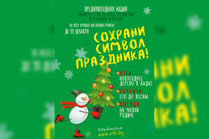 З 12.12.2022 г. у Рэспубліканскім лясным селекцыйна-насенняводчым цэнтры стартаваў продаж навагодніх дрэў у кадках