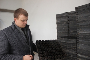 Важныя вынікі праекта «Развіццё ляснога сектара Рэспублікі Беларусь» - стварэнне лясных культур пасадачным матэрыялам з ЗКС