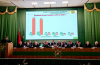 О задачах на 2025-й сегодня будет идти речь на итоговом заседании коллегии Министерства лесного хозяйства