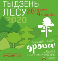 Акцыя «Тыдзень лесу» пройдзе ў Беларусі з 28 сакавіка па 4 красавіка