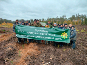 «Аднавiм лясы разам!»