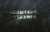 Испытание стихией: как в Беларуси устраняли последствия самого разрушительного урагана?