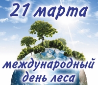 Леса для устойчивой жизни городов. Сегодня – Международный день лесов