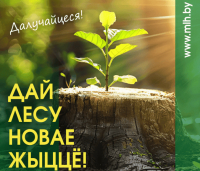 Акцыя &quot;Лай лесу новае жыццё!&quot; пройдзе ў Беларусі з 21 сакавіка па 12 красавіка